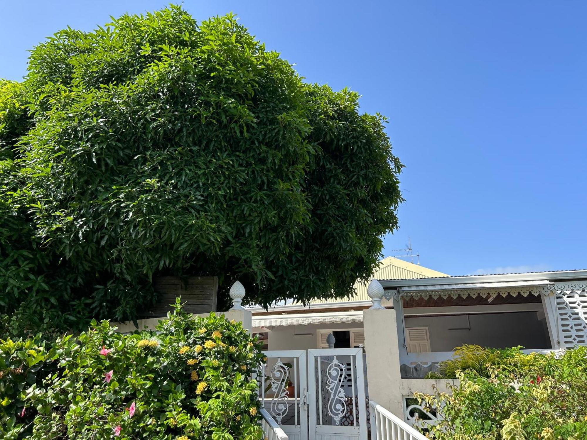 Villa A Louer A Sainte-Anne En Martinique Exteriör bild